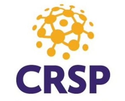 Centre for Research on Security Practices