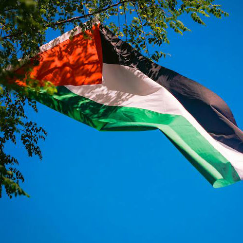 Palestine's flag